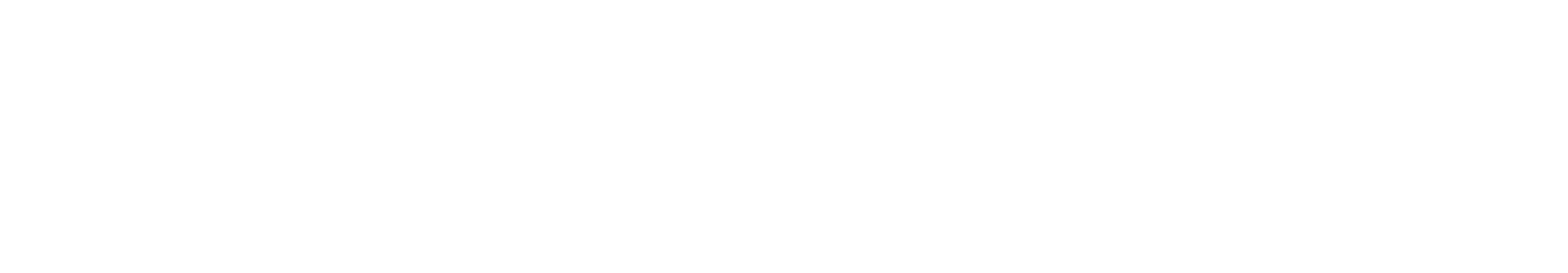 PTL Solutions Inc. Medical Device QMS